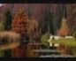85811_288372_n_2