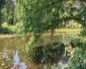 87556_309381_n_2
