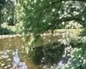 87580_805918_n_2