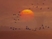 92889_802801_s_4