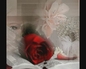 96510_299493_n_2
