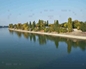 97950_423368_n_2