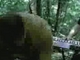 633_9233582_2