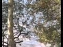 111635_83875_n_1