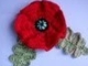 Как вязать мак Урок20 How to crochet poppy Cómo amapola crochet