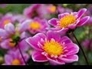 112572_58603_n_1