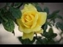 112879_47294_n_1