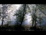 113283_91991_n_1