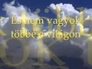 113535_24200_n_1