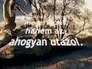 113775_98082_n_1
