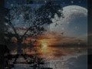113975_81216_n_1