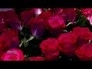 114630_58178_n_1