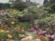 75 Most beautiful british gardens