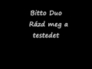 115327_28001_n_1