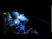 115335_84365_s_1