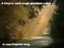 115350_90055_n_1