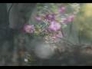 115457_64010_n_1