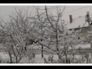 115714_43920_n_1
