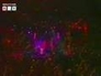 115942_22224_n_1