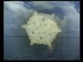 116228_17498_n_1