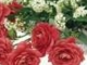 Andre Rieu - Danube Love