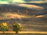 116408_11151_n_1