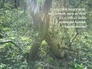 116409_71823_n_1