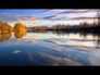 116590_62411_n_1