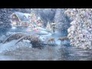 116835_14559_n_1