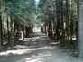 117064_89424_n_1