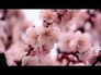 117202_73694_n_1
