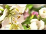 117327_13481_n_1