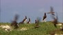 117502_30222_n_2
