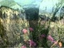117651_54003_n_1