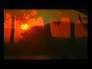 117981_42815_n_1