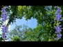 118058_50448_n_1