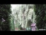 110042_67802_n_1