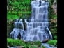 110158_83327_n_1