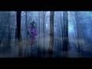 110352_88969_n_1