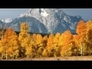 110361_96801_n_1
