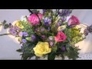 110434_97020_n_1