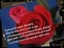110436_99422_n_1