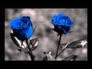 121597_65413_n_1