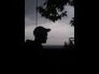 121603_19050_n_1