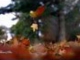 André Rieu - Les Feuilles Mortes (Autumn Leaves)