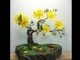 ABC TV | How To Make Artificial Bonsai Tree - Craft Tutorial