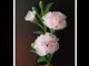 How to stockingflower (Carnation) by ployandpoom (ผ้าใยบัว)
