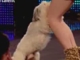 Ashleigh and Pudsey Britain's Got Talent 2012 audition UK version