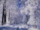 Winter Memory - Peaceful music