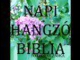 NAPI HANGZÓ BIBLIA 05.07. SÁMUEL SZÜLETÉSE